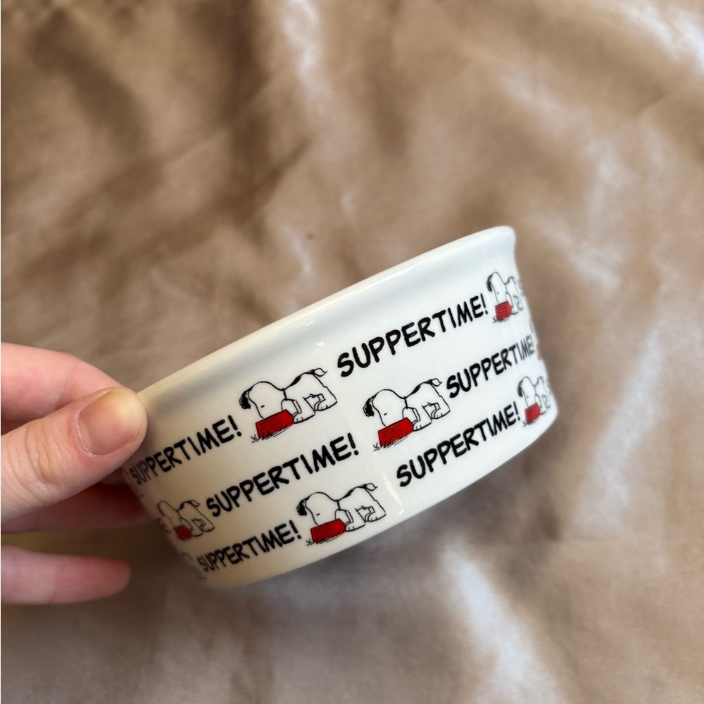 SUPPERTIME! Ceramic Pet Bowl with Snoopy Graphics